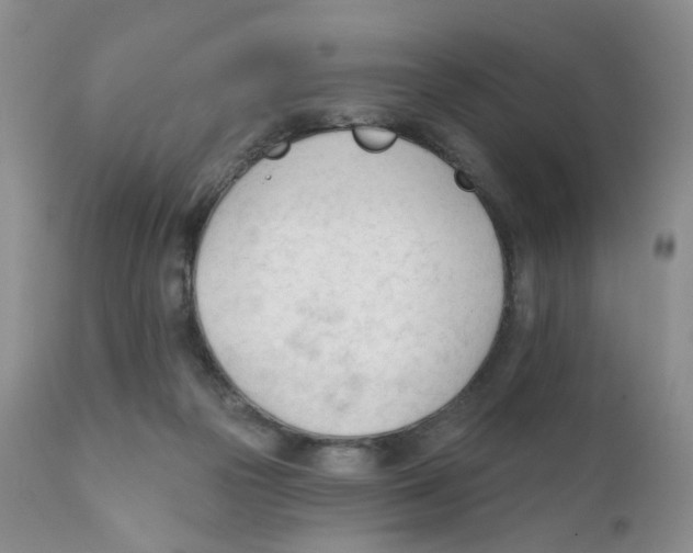 X0000111610169200908141302