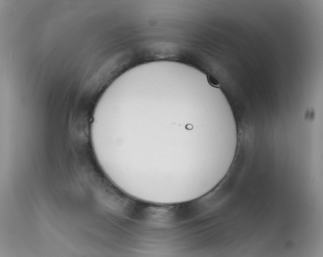 X0000111610170200908141302