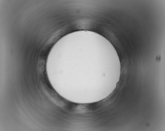 X0000111610171200908141302