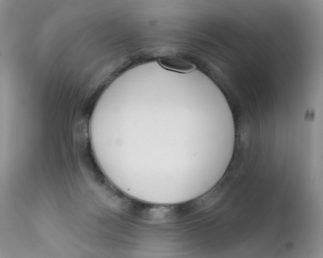 X0000111610172200908141302