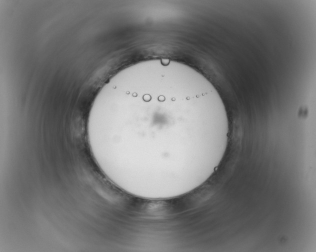 X0000111610173200908141302