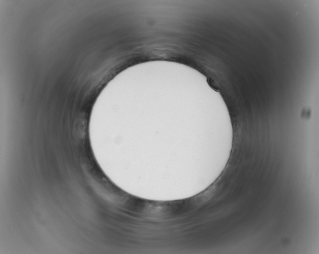 X0000111610174200908141302