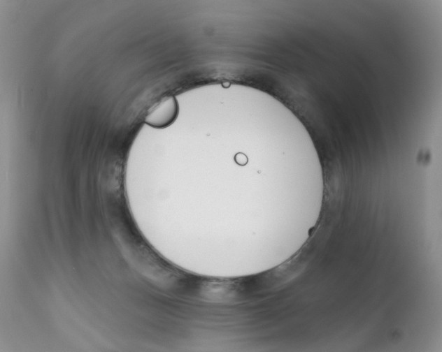 X0000111610175200908141302