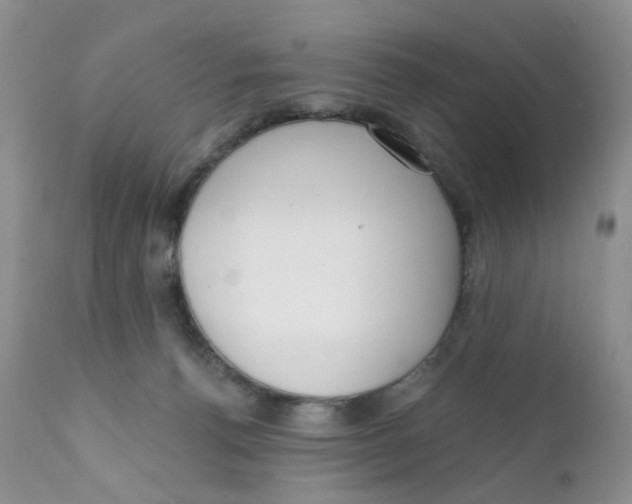 X0000111610176200908141302