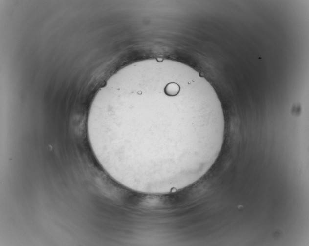 X0000111610177200908141302