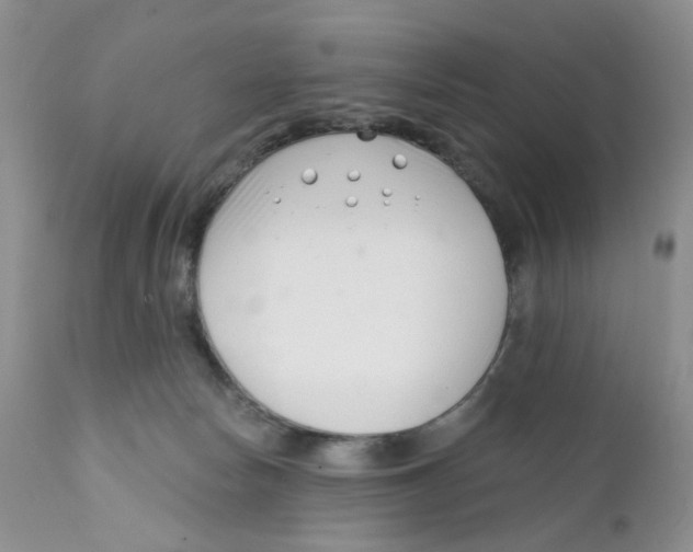 X0000111610178200908141302