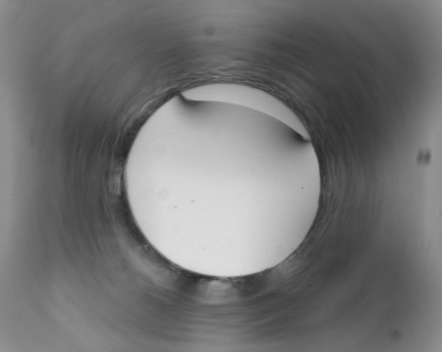 X0000111610180200908141302