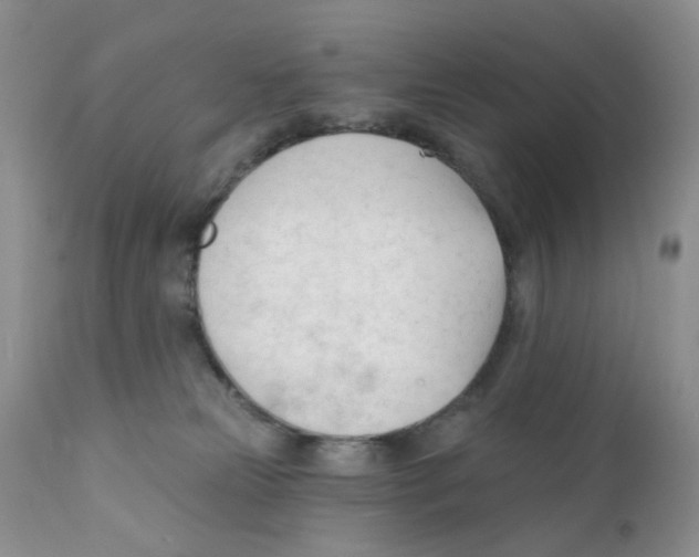 X0000111610181200908141302
