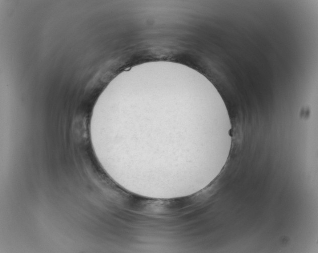 X0000111610182200908141302