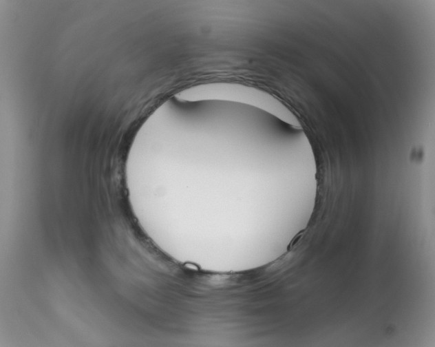 X0000111610184200908141302