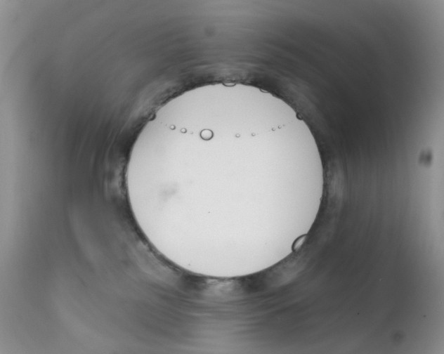X0000111610185200908141302