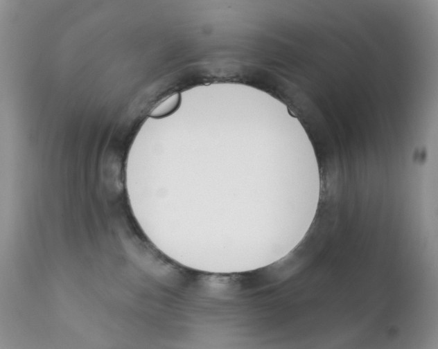 X0000111610187200908141302