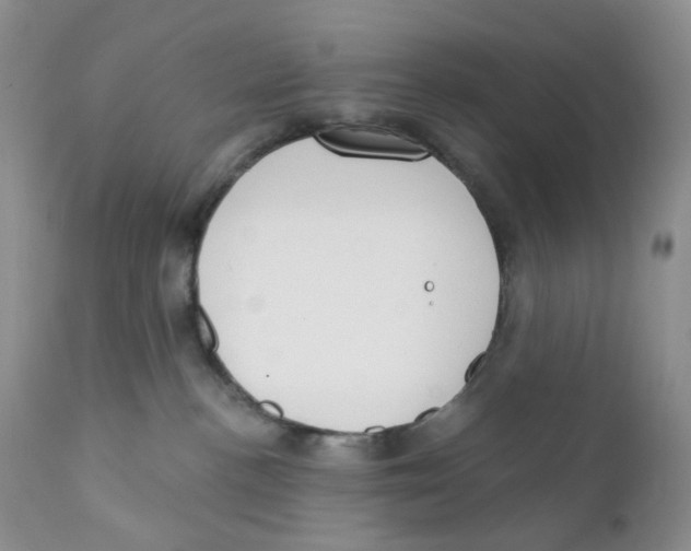 X0000111610188200908141302