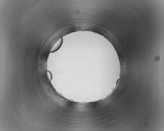 X0000111610191200908141302