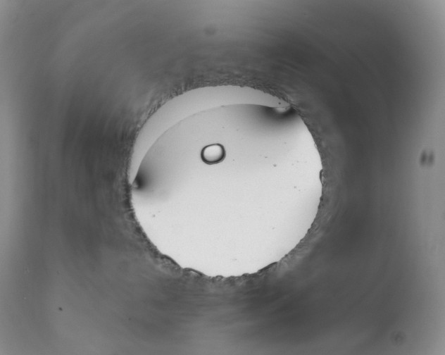 X0000111610192200908141302