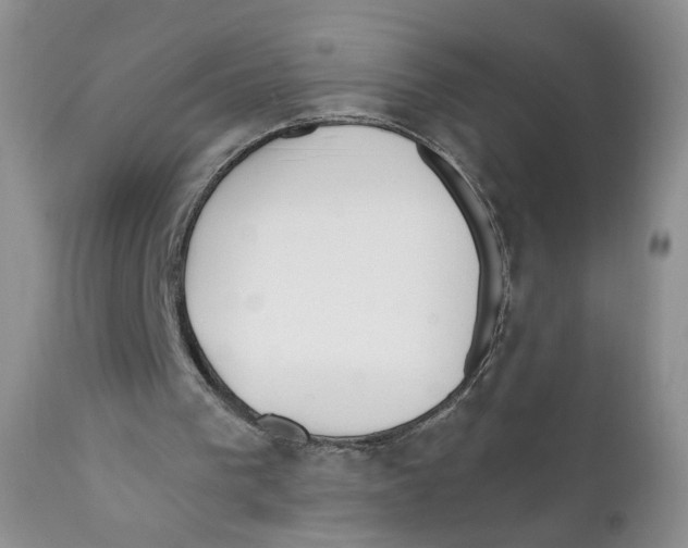X0000111610193200908141302