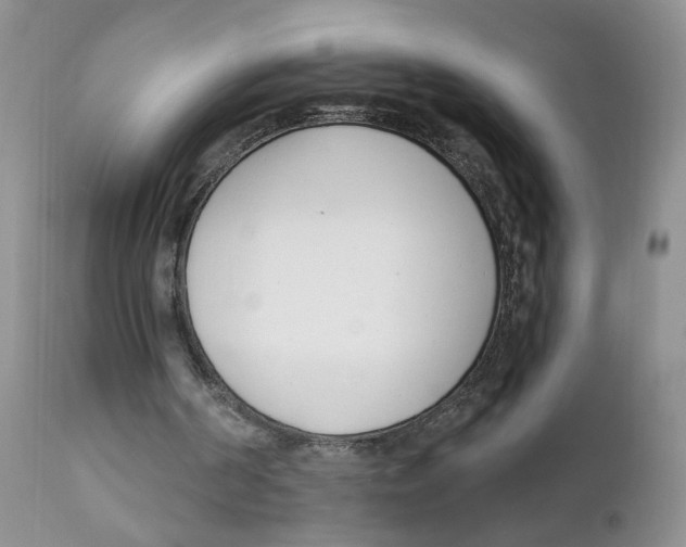 X0000111610194200908141302