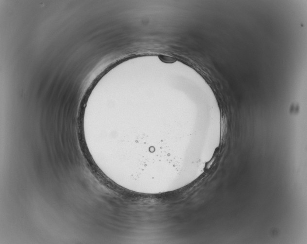 X0000111610195200908141302