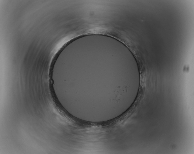X0000111610196200908141302