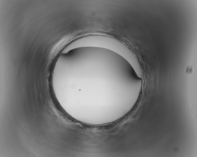 X0000111610197200908141302