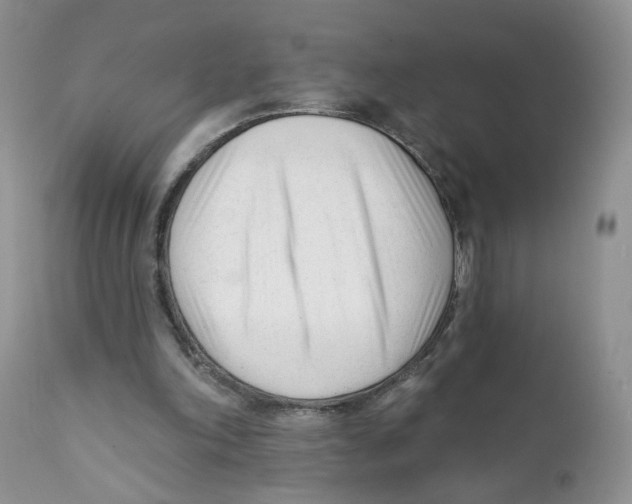 X0000111610198200908141302
