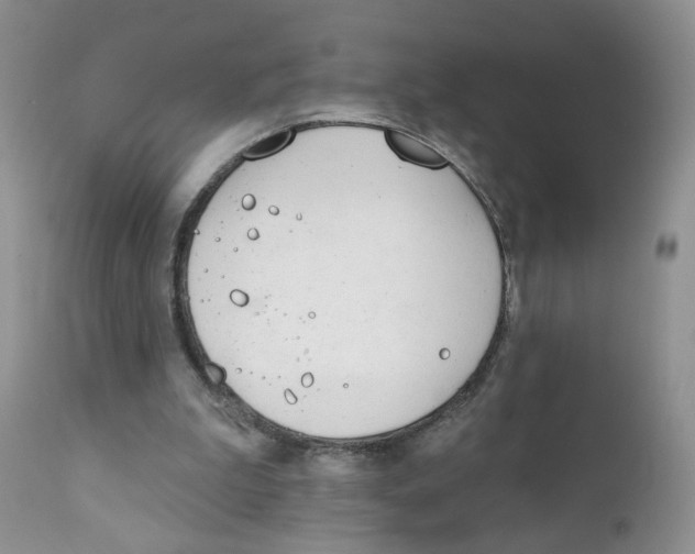 X0000111610199200908141302