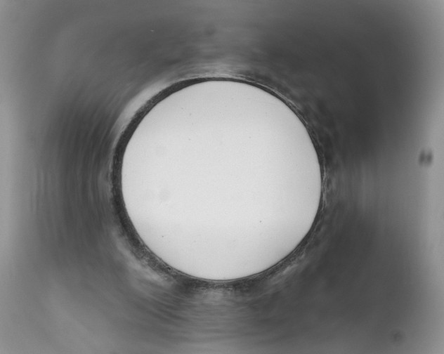 X0000111610200200908141302