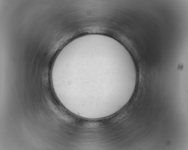 X0000111610202200908141302