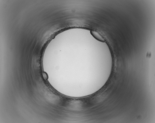 X0000111610203200908141302