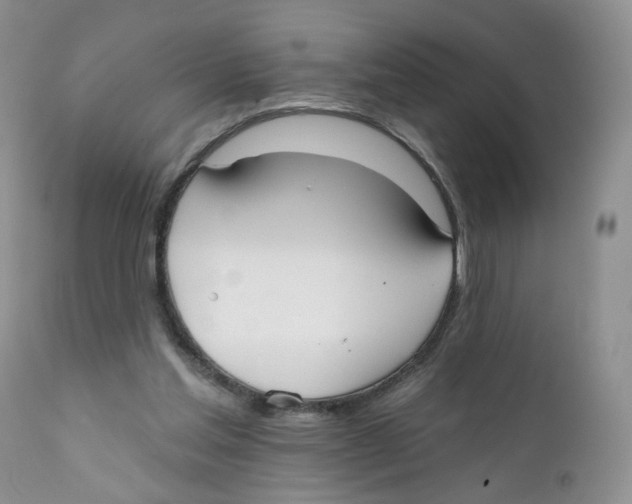 X0000111610205200908141302