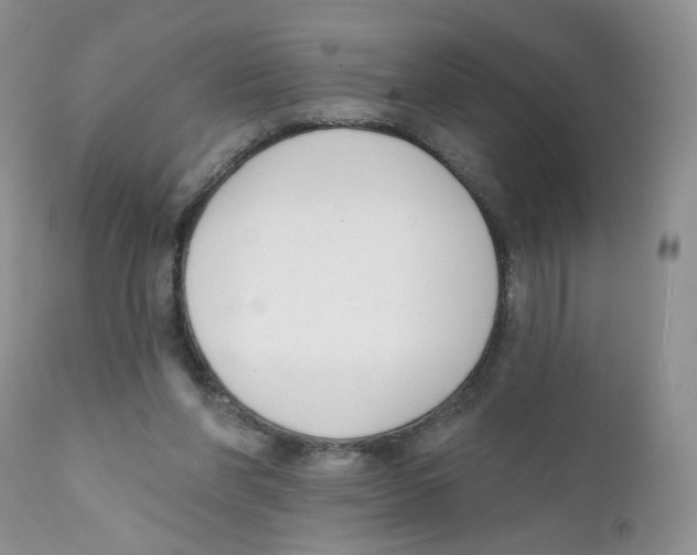 X0000111610206200908141302