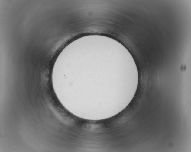 X0000111610208200908141301