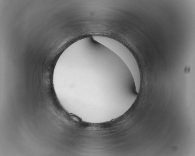X0000111610211200908141301