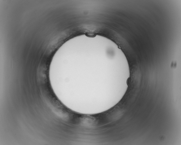 X0000111610215200908141301