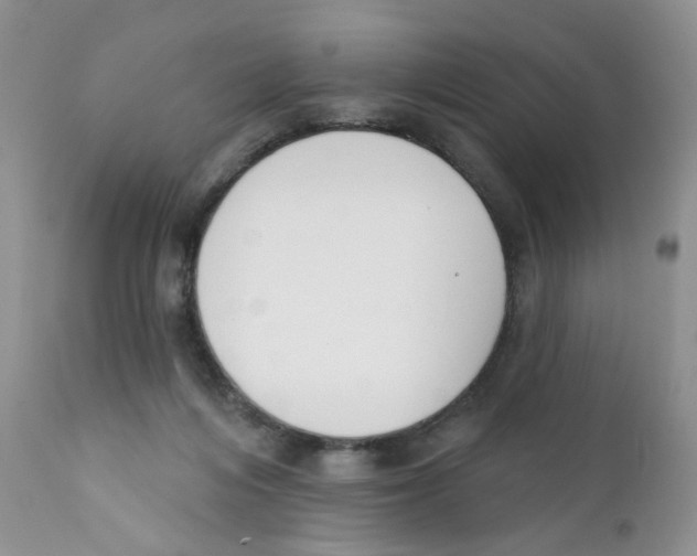 X0000111610216200908141301