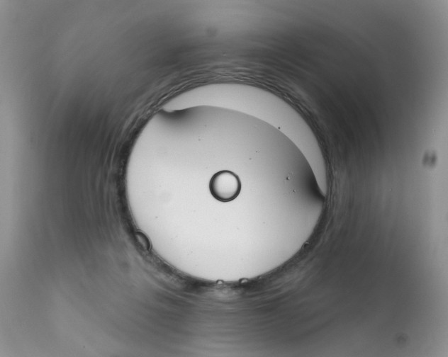 X0000111610217200908141301