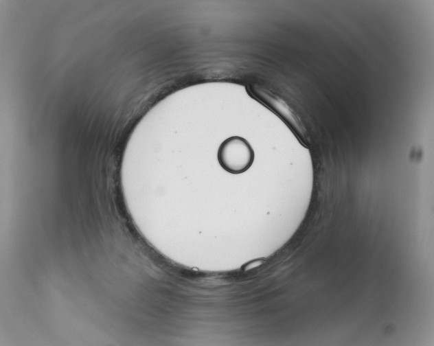 X0000111610219200908141301