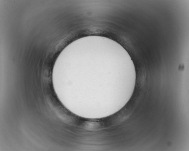 X0000111610220200908141301