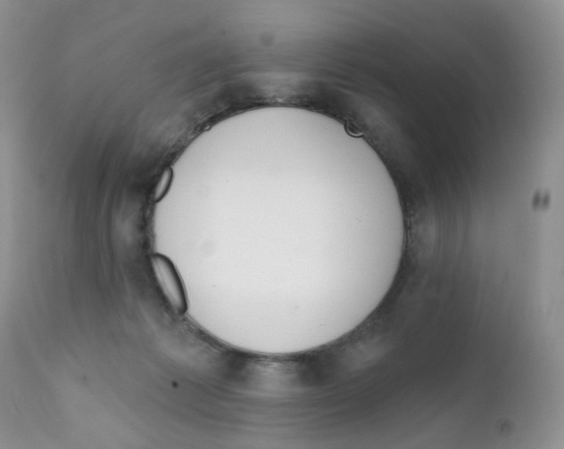 X0000111610221200908141301