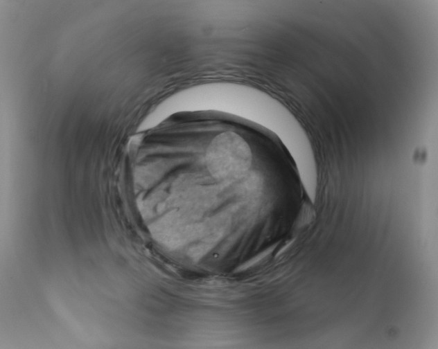 X0000111610223200908141301