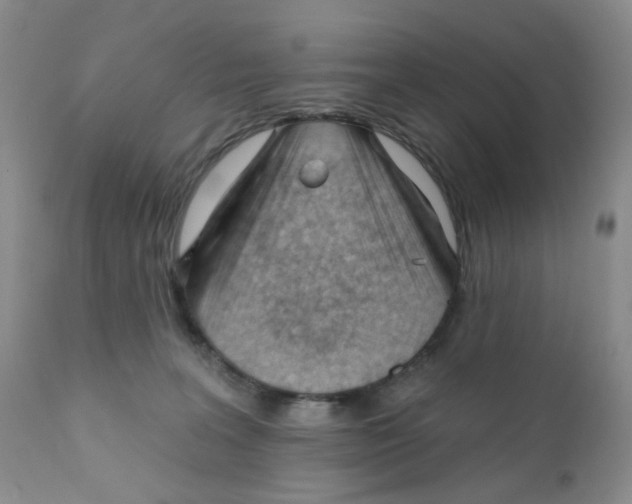 X0000111610227200908141301