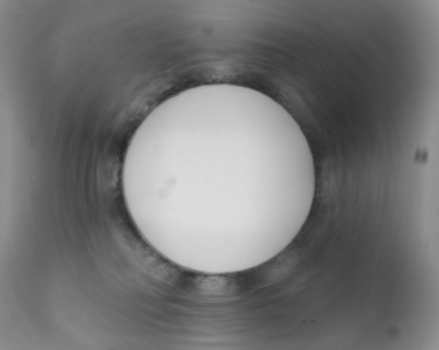 X0000111610230200908141301