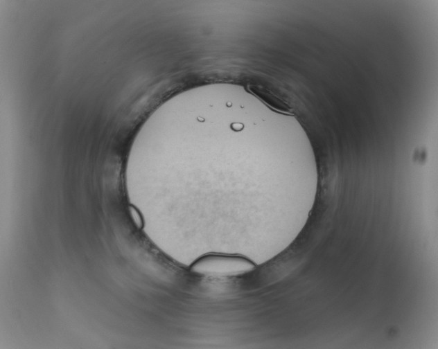 X0000111610231200908141301