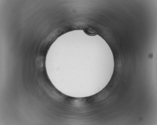 X0000111610232200908141301