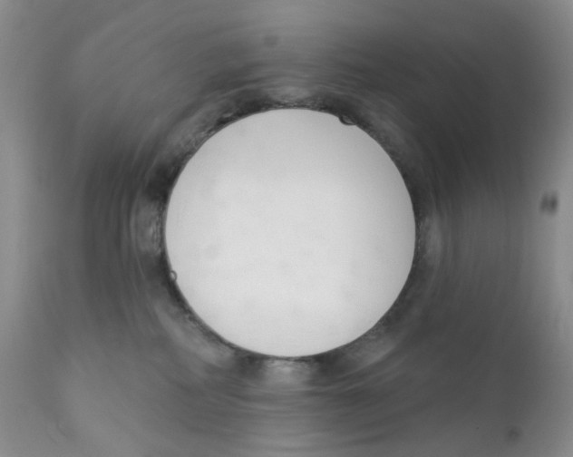 X0000111610234200908141301