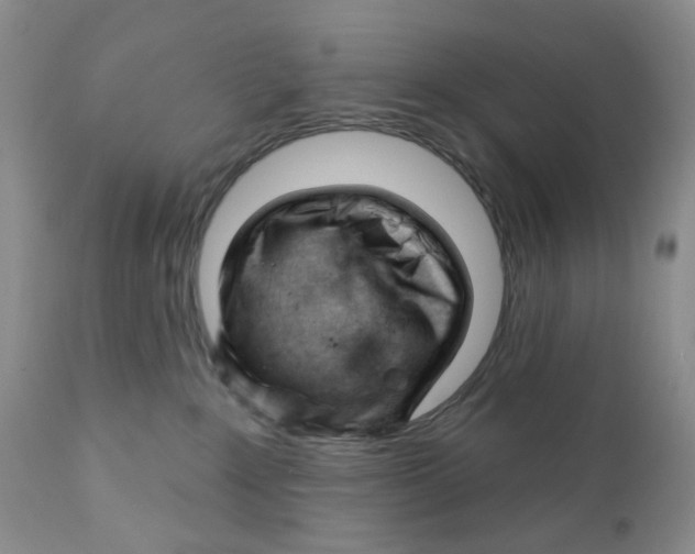 X0000111610235200908141301