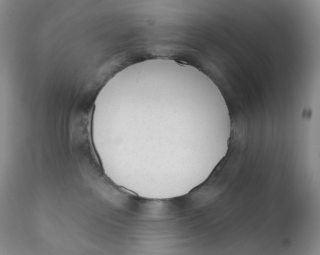 X0000111610237200908141301