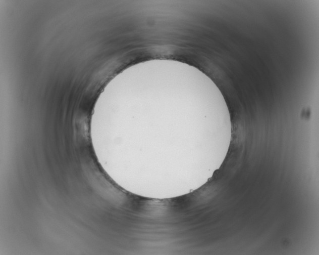 X0000111610238200908141301