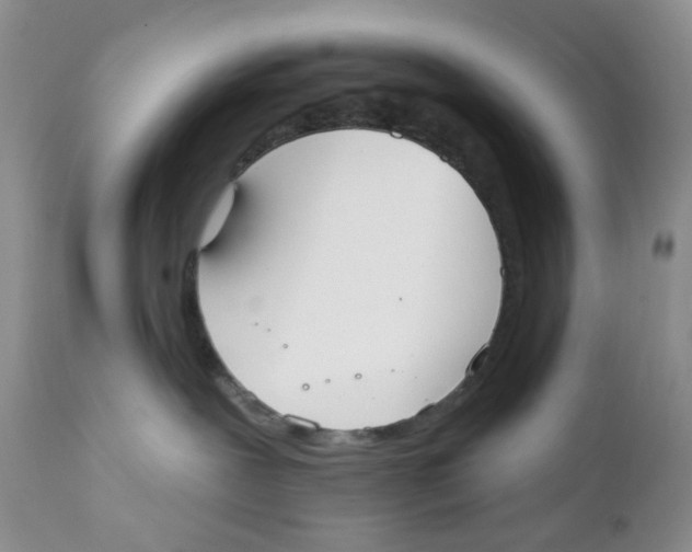 X0000111610239200908141301