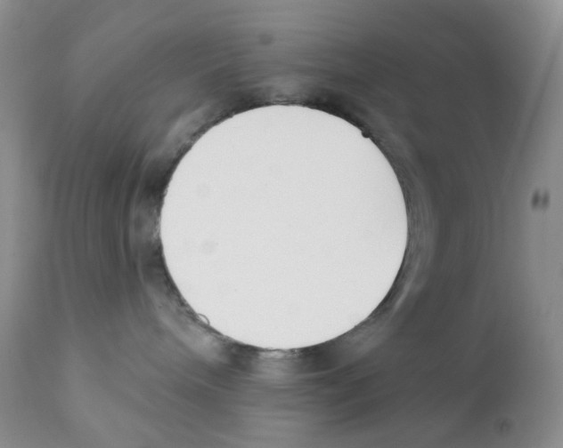 X0000111610240200908141301